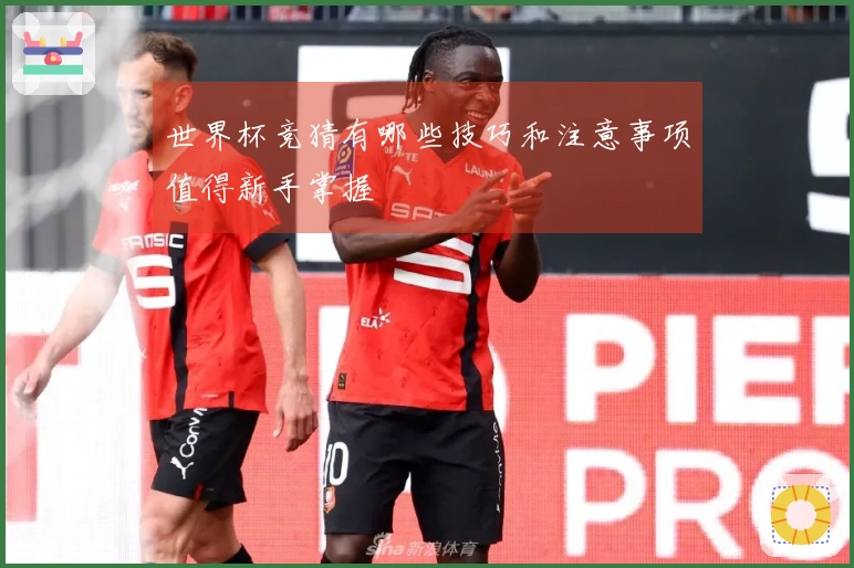 世界杯竞猜有哪些技巧和注意事项值得新手掌握