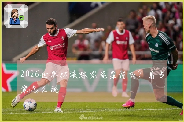2026世界杯滚球究竟靠谱吗？看专家怎么说