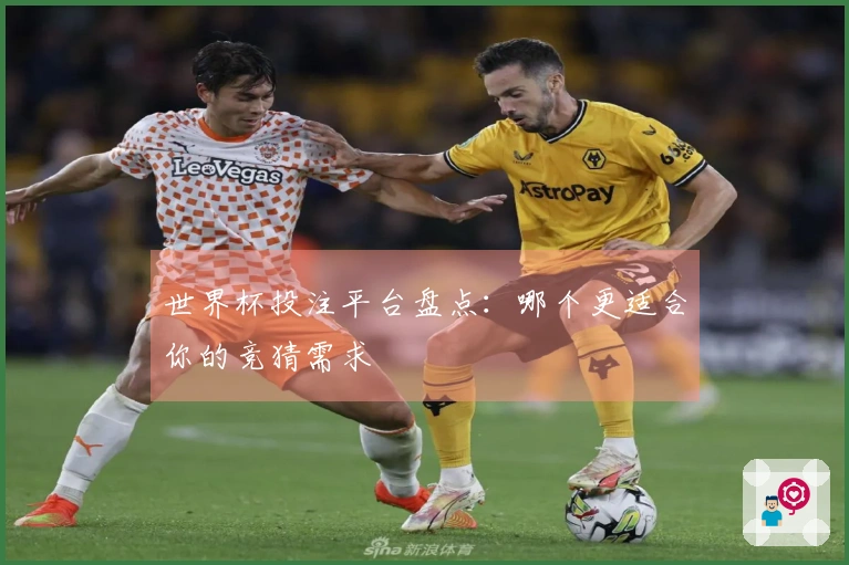 世界杯投注平台盘点：哪个更适合你的竞猜需求