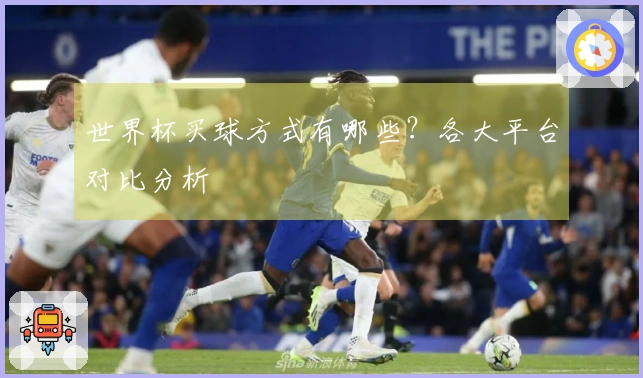 世界杯买球方式有哪些？各大平台对比分析
