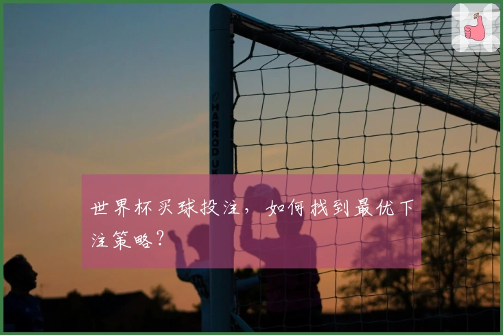 世界杯买球投注，如何找到最优下注策略？