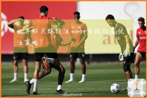 世界杯买球投注，如何找到最优下注策略？