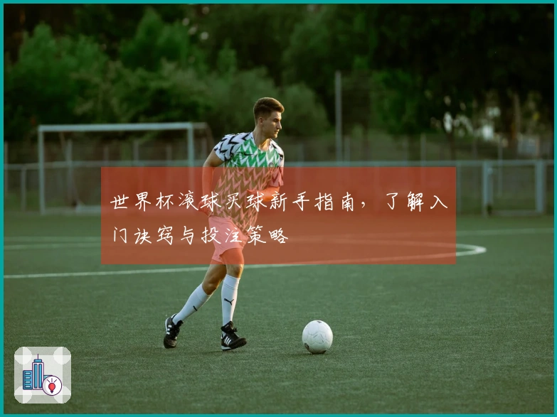 世界杯滚球买球新手指南，了解入门诀窍与投注策略