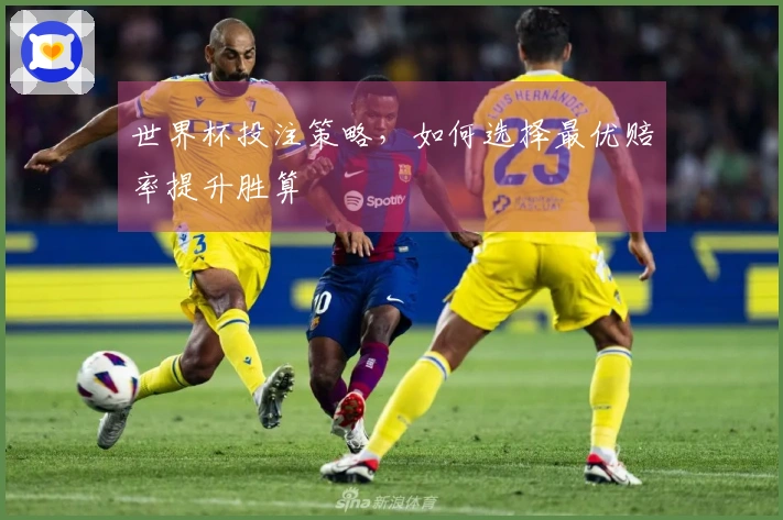 世界杯投注策略，如何选择最优赔率提升胜算