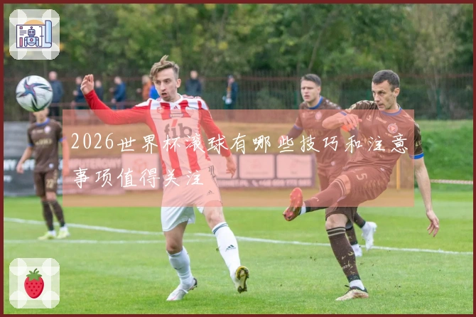 2026世界杯滚球有哪些技巧和注意事项值得关注