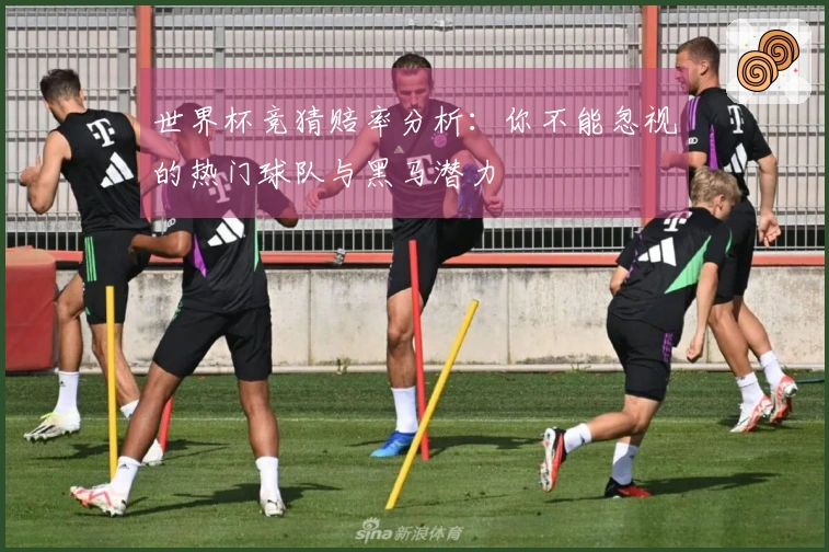 世界杯竞猜赔率分析：你不能忽视的热门球队与黑马潜力