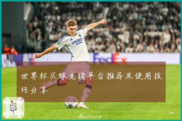 世界杯买球竞猜平台推荐及使用技巧分享