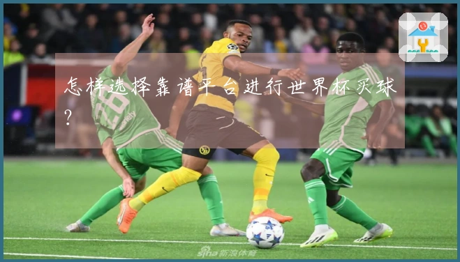怎样选择靠谱平台进行世界杯买球？