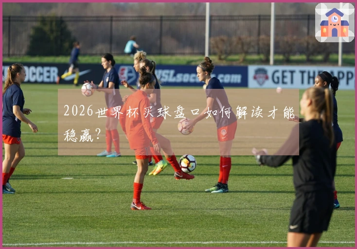 2026世界杯买球盘口如何解读才能稳赢？