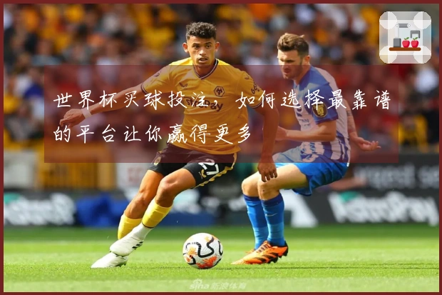 世界杯买球投注，如何选择最靠谱的平台让你赢得更多