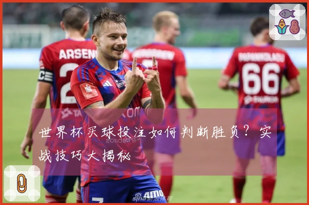 世界杯买球投注如何判断胜负？实战技巧大揭秘