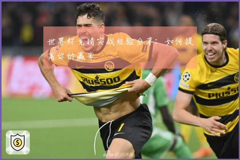 世界杯竞猜实战经验分享：如何提高你的赢率