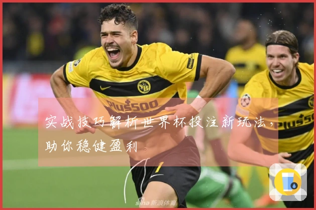 实战技巧解析世界杯投注新玩法，助你稳健盈利