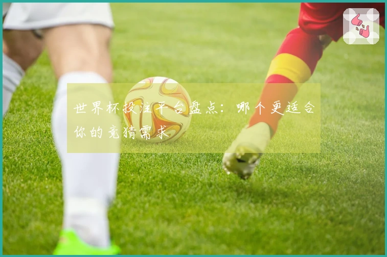 世界杯投注平台盘点：哪个更适合你的竞猜需求