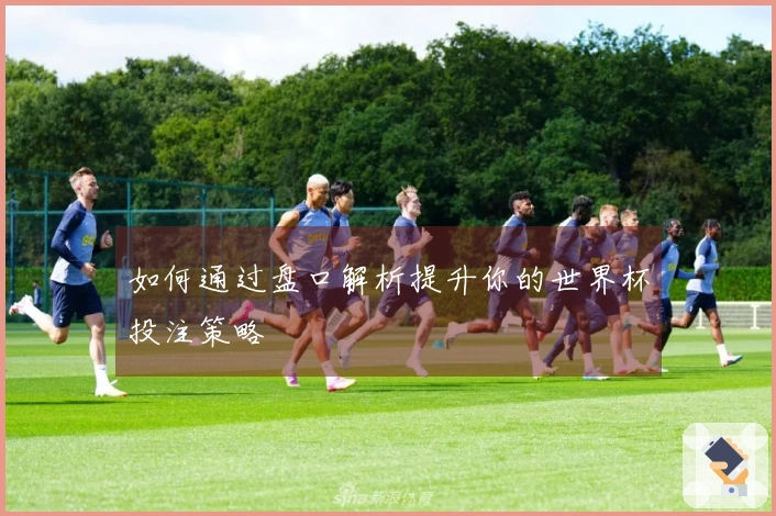 如何通过盘口解析提升你的世界杯投注策略