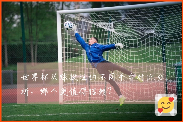 世界杯买球投注的不同平台对比分析，哪个更值得信赖？