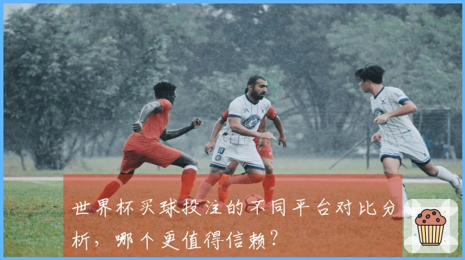 世界杯买球投注的不同平台对比分析，哪个更值得信赖？