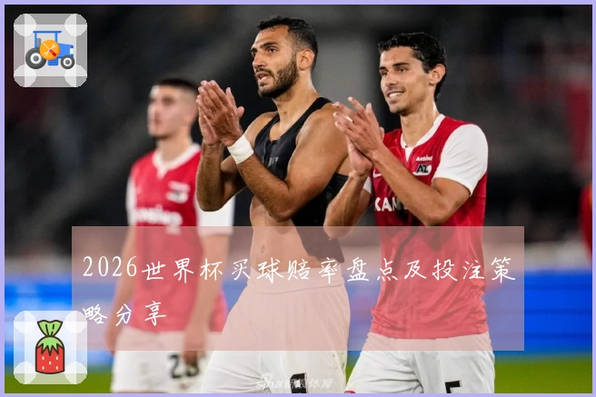 2026世界杯买球赔率盘点及投注策略分享