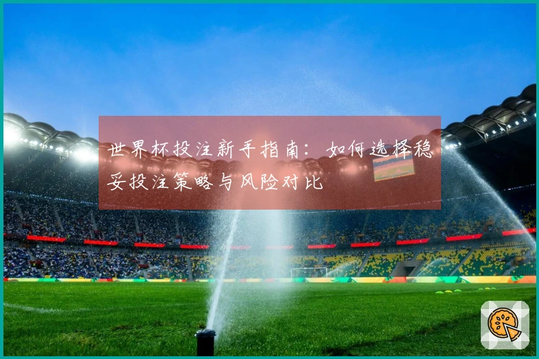 世界杯投注新手指南：如何选择稳妥投注策略与风险对比