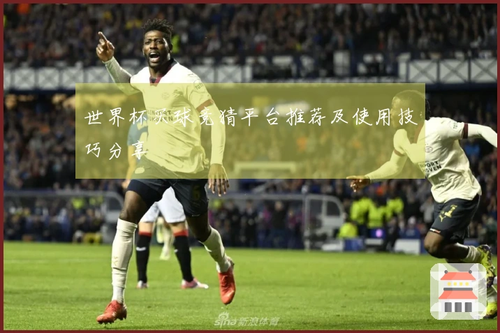 世界杯买球竞猜平台推荐及使用技巧分享